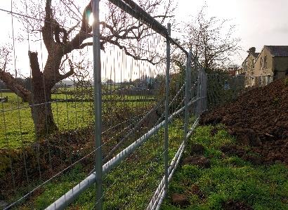 Dacre Banks - tree protection fencing