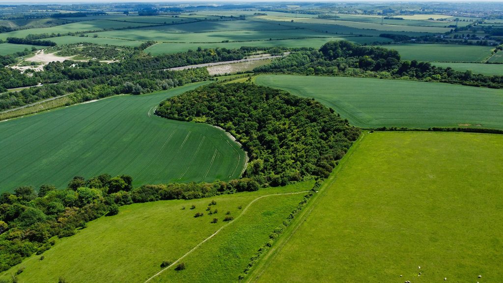 green belt land