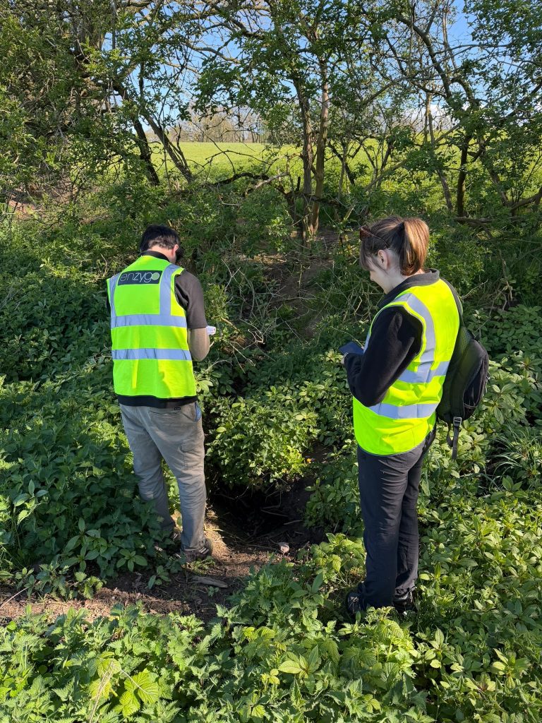 two people carry out environmental site survey in a field